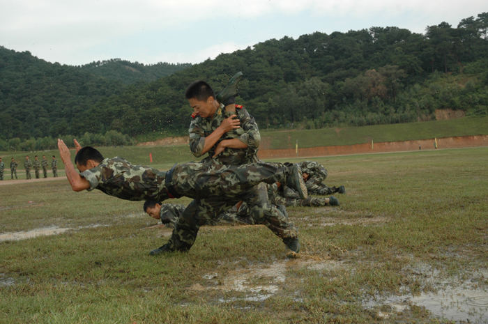 教官表演:军体拳表演:分列式汇演:易院长阅兵:【花都武警8734部队】